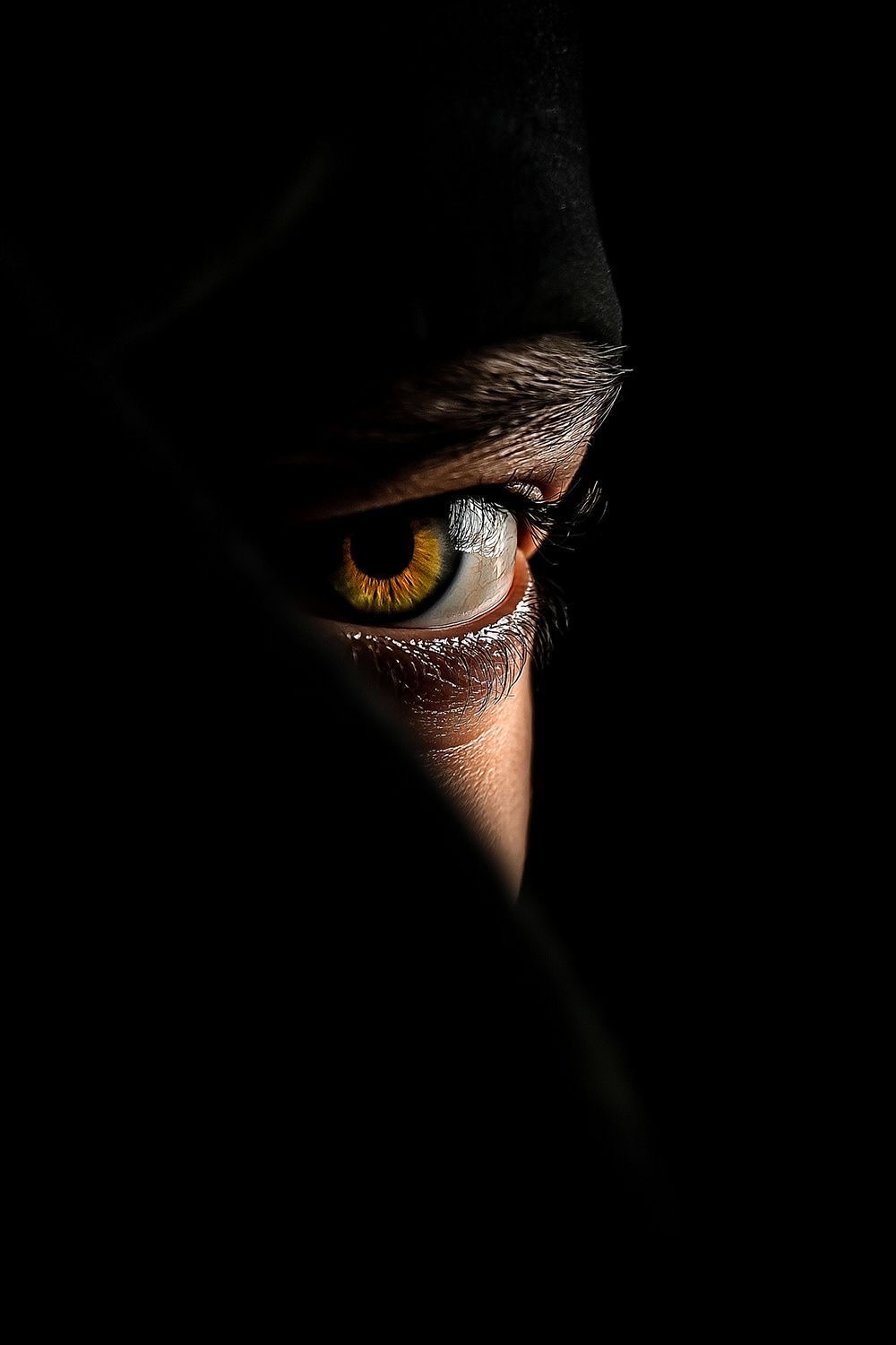 ACCUEIL / GALERIE & DICTONS